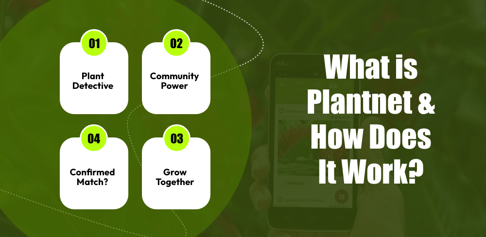 Build an app like Plantnet