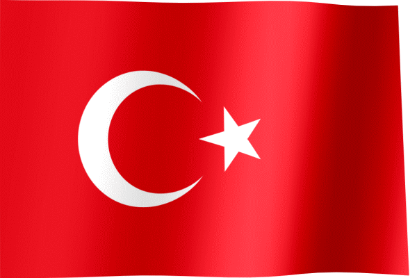 List of Top Business Ideas for Turkish People