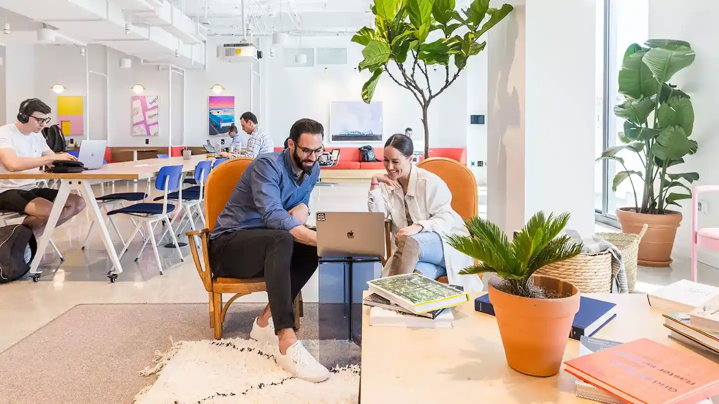 Startup Consulting Company