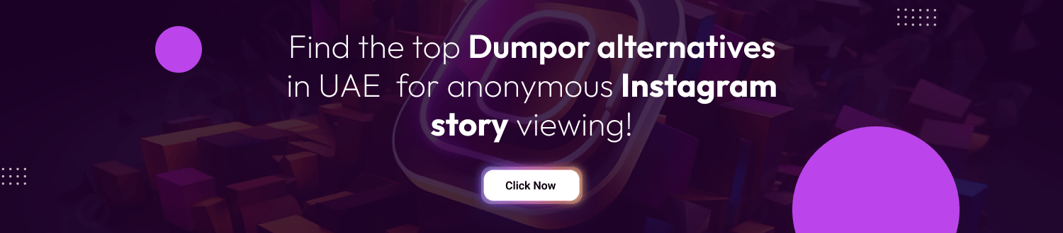 CTA for Dumpor Alternative